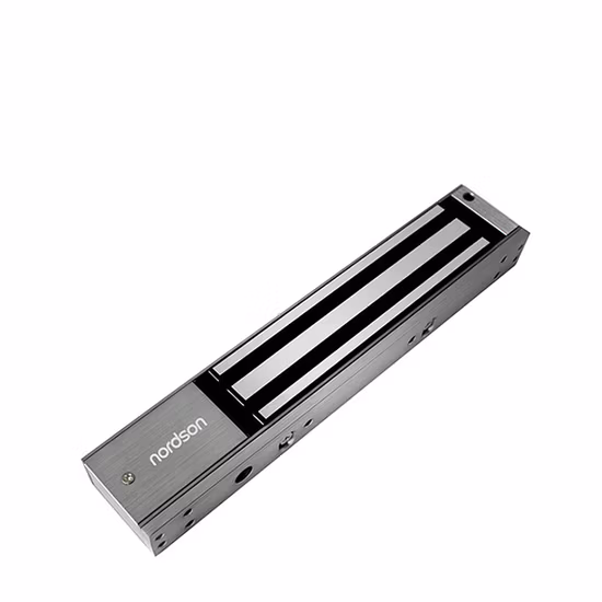 DC12V/24V 실패 보안 견고성 좁은 프레임 볼트 비상 키가 있는 스마트 전기 냉장고 보관함