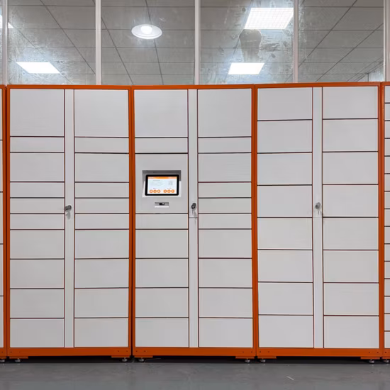 야외 방수 얼굴 스마트 사물함 스마트 소포 사물함